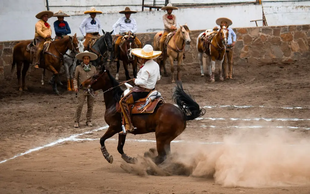 A rodeo rider at a western stampede