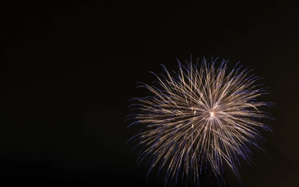 Fireworks on a summer night