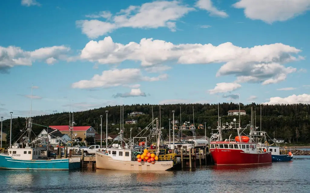 Fundy coastline at low tide