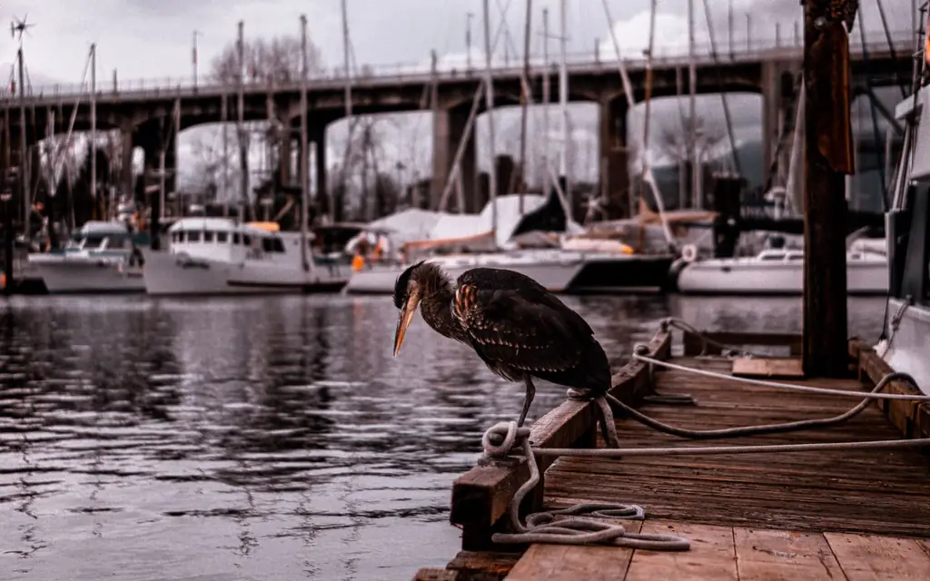 Granville Island Public Market in Vancouver