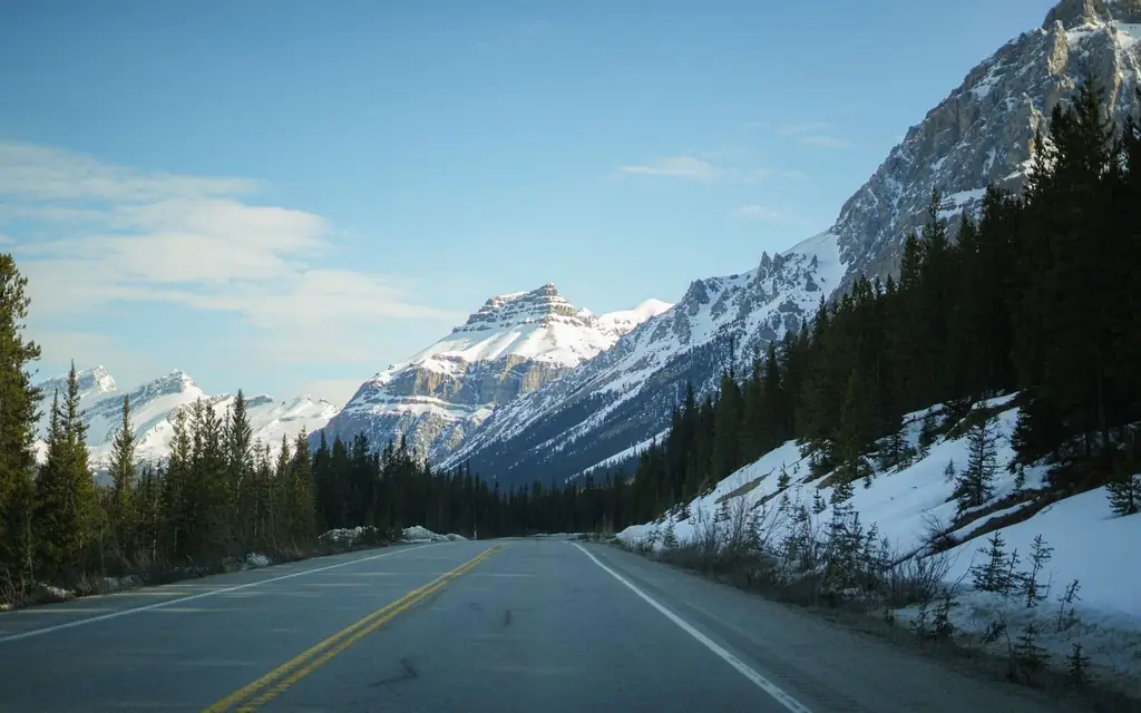 Peyto Lake beside the Icefields Parkway