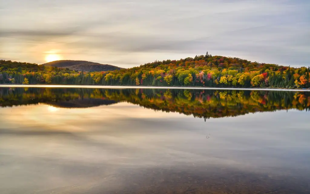 A forest lake in autumn in Québec