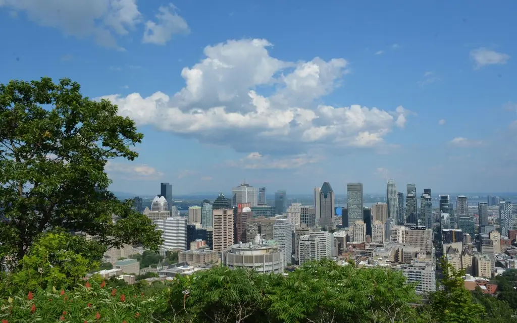 Montréal from Mount Royal