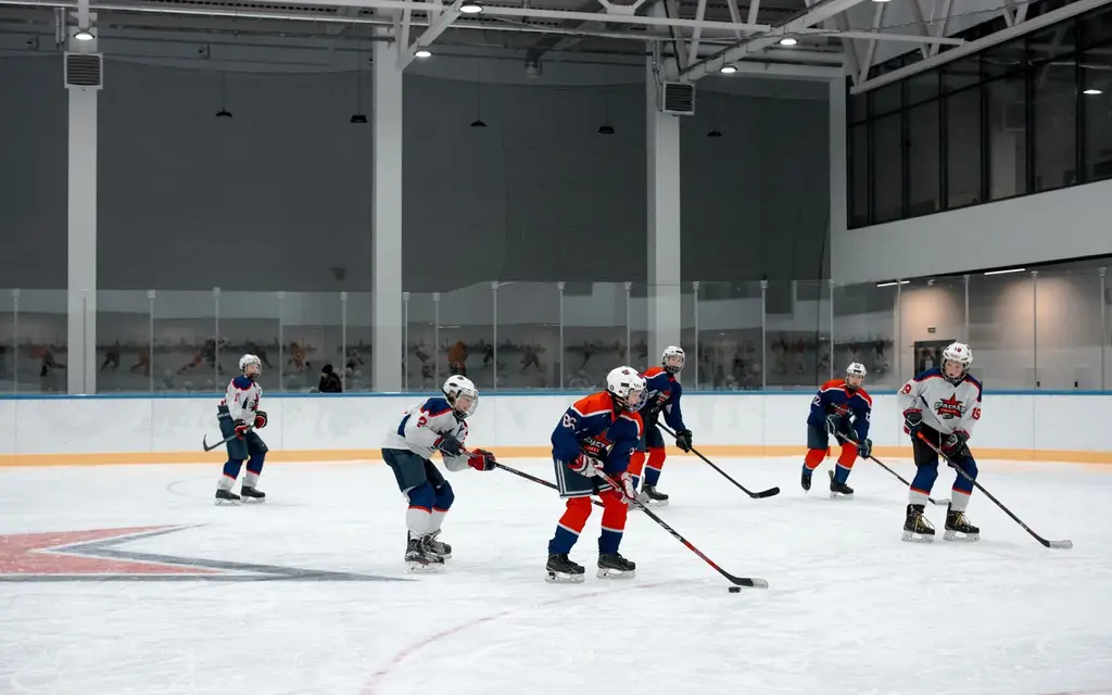 An ice hockey game in an arena