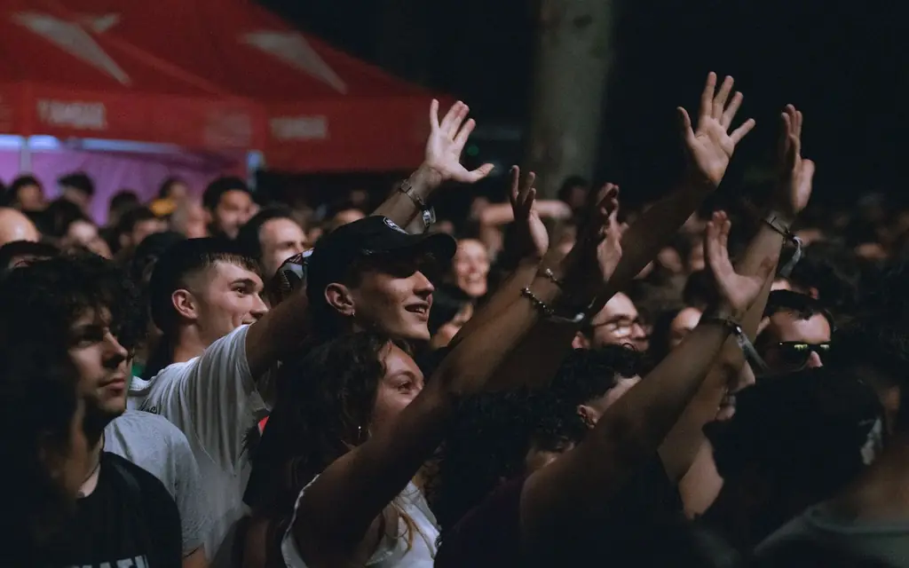 A crowd at an outdoor music festival