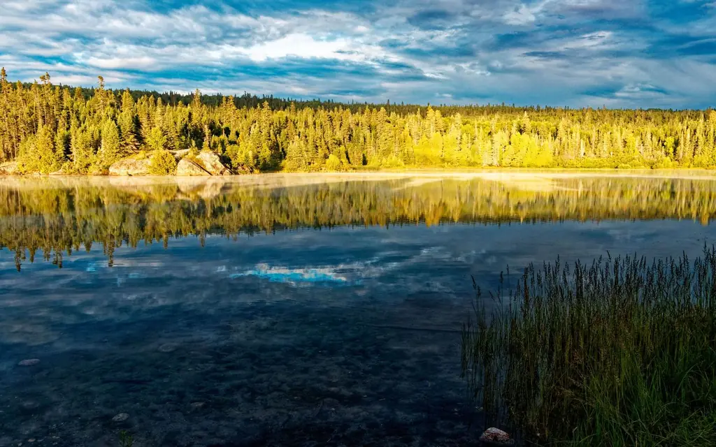A boreal lake in Saskatchewan