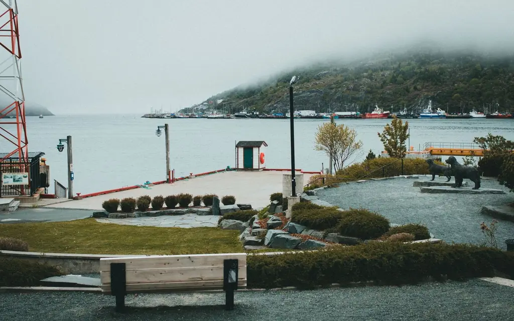 St. John's harbour