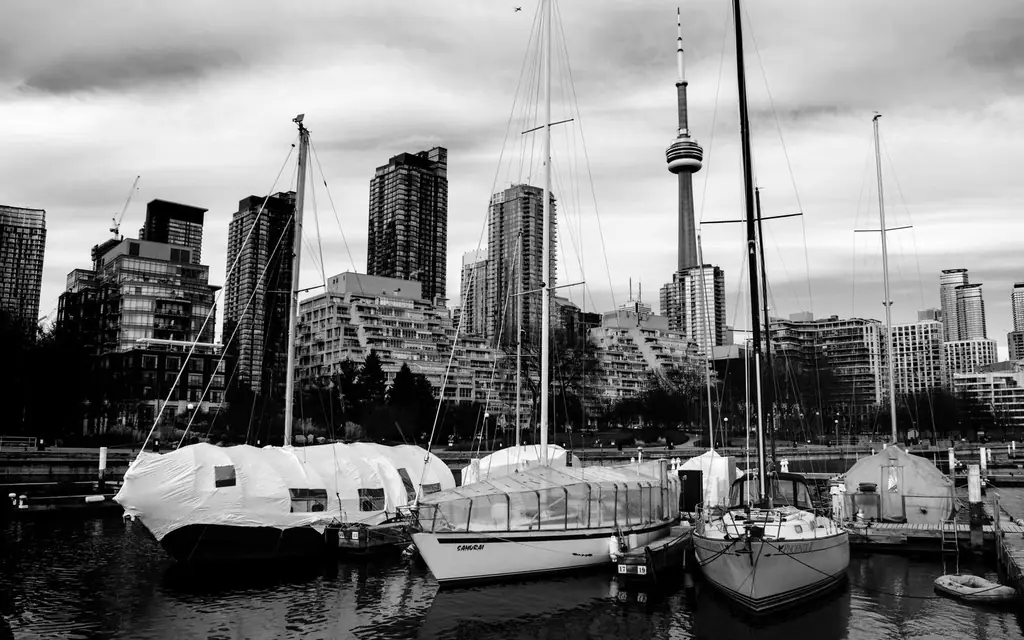 Sailboats docked below the Toronto skyline
