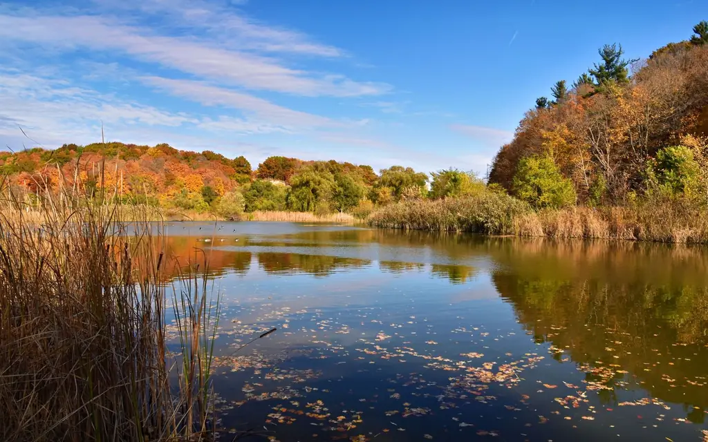 A lake among autumn forest in Ontario