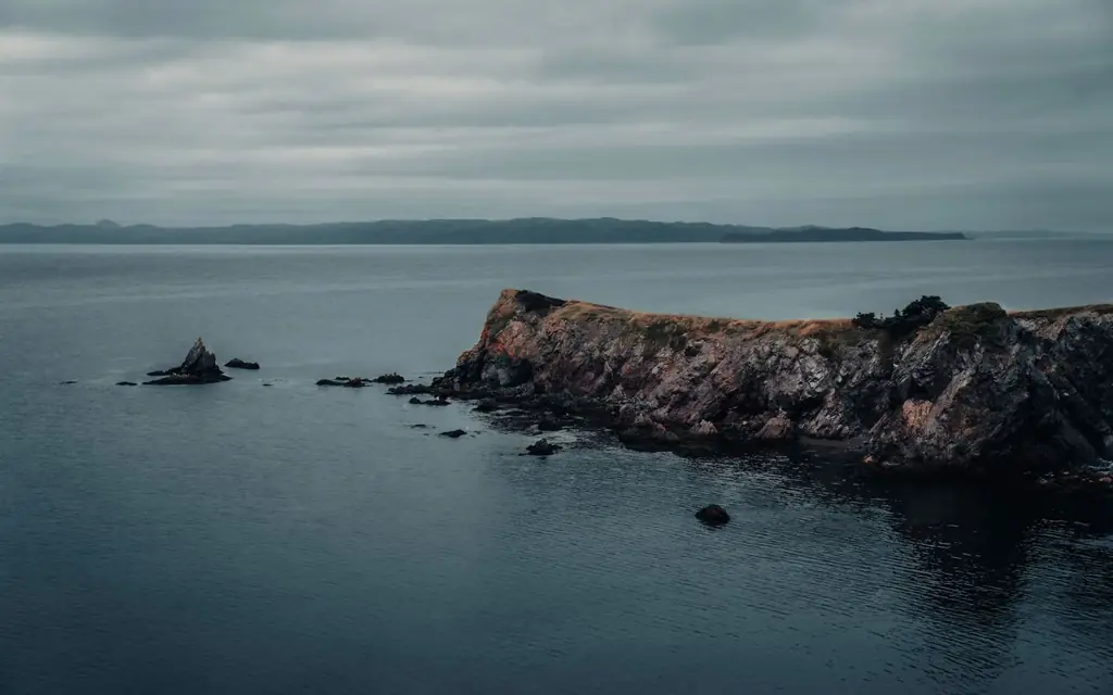 The rugged Newfoundland coast