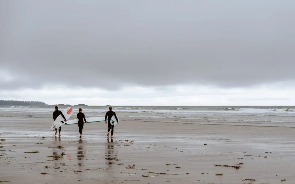 A beach near Tofino