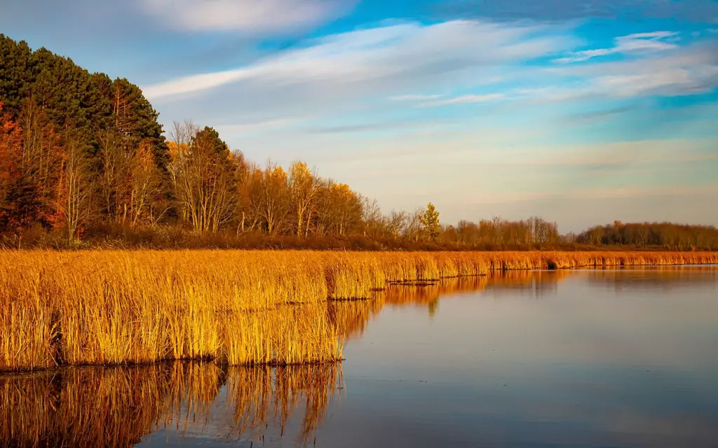 The Ottawa River