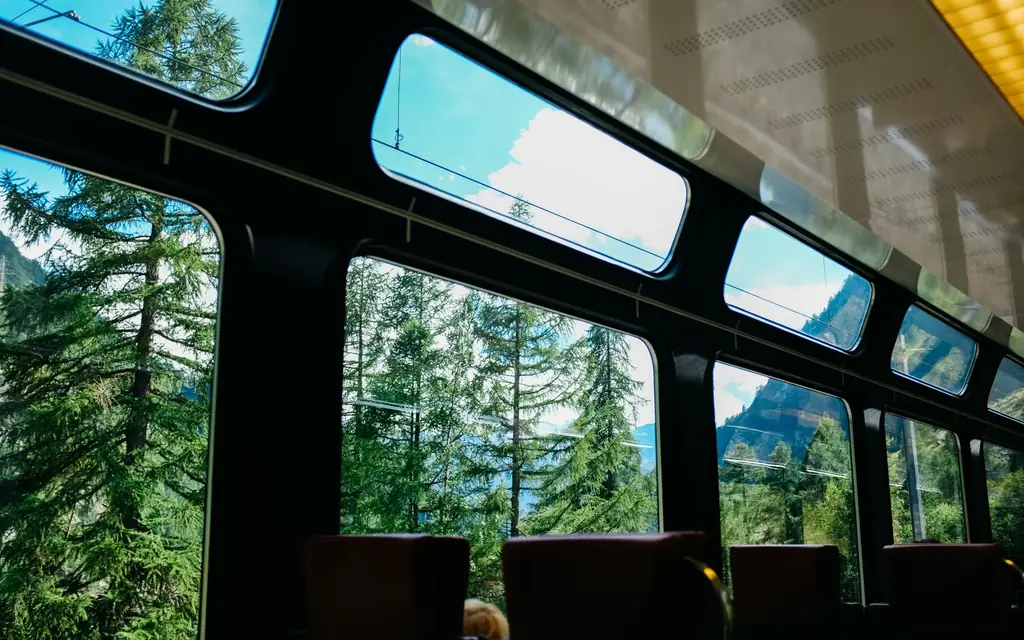 Dome-car windows on a train through a forest