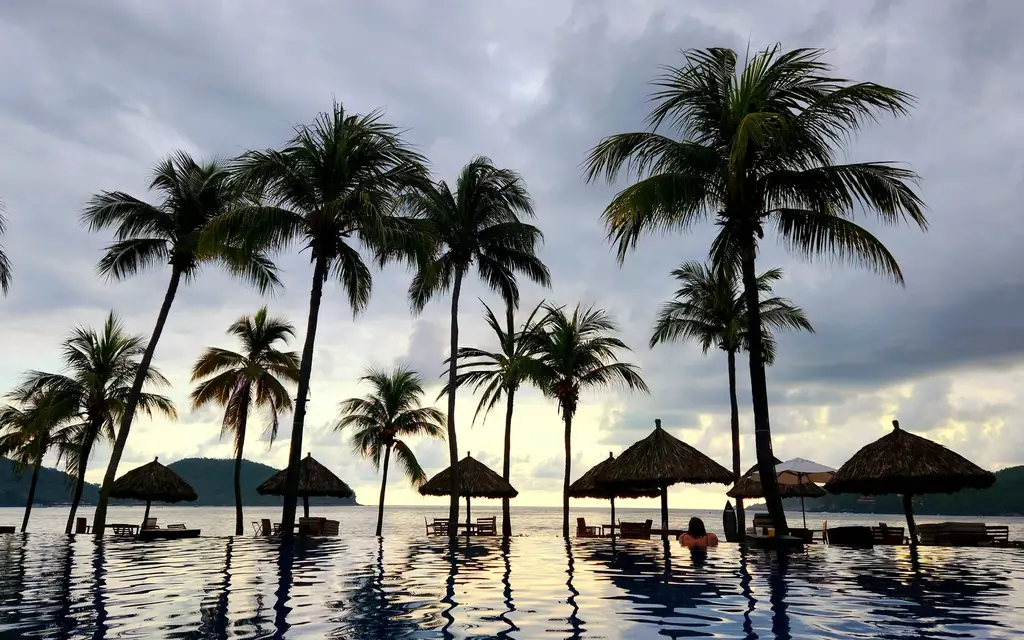 Infinity pool among palm trees at a resort